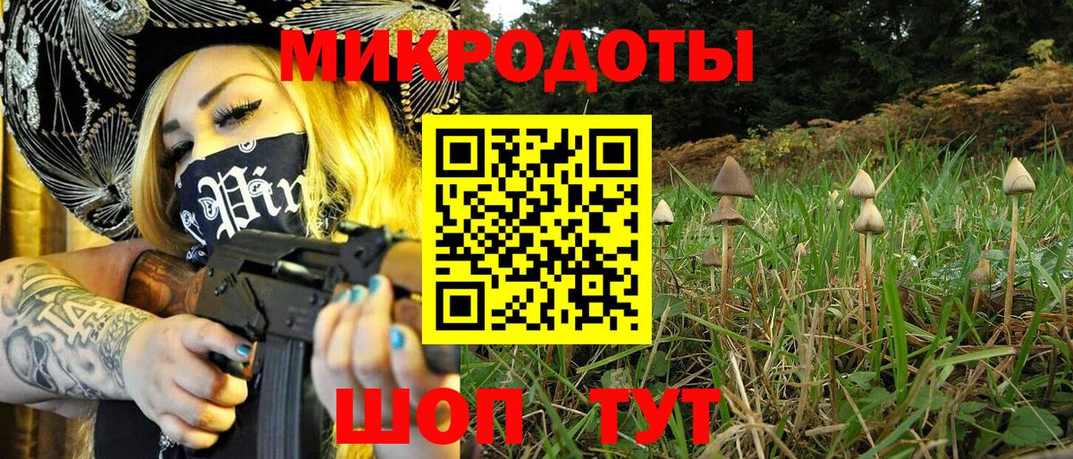 Галлюциногенные грибы мухоморы Котовск